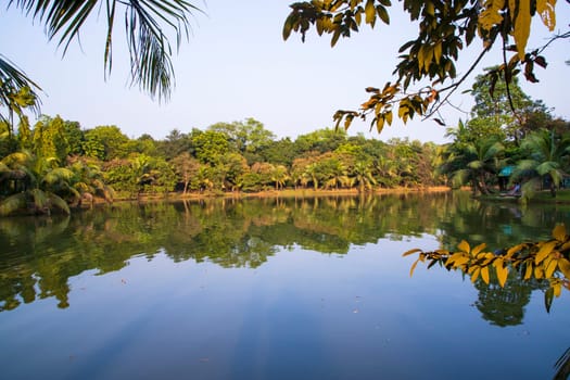 Natural landscape view Reflection of trees in the lake water against blue sky