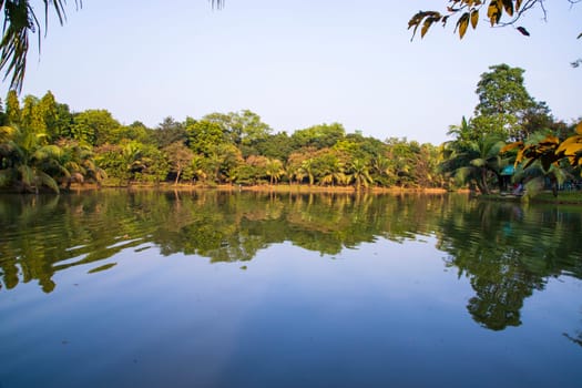 Natural landscape view Reflection of trees in the lake water against blue sky