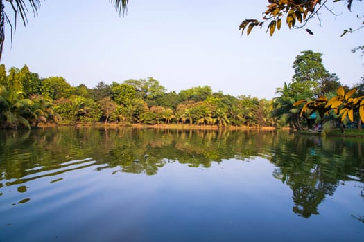 Natural landscape view Reflection of trees in the lake water against blue sky