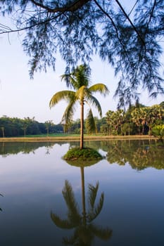 Natural landscape view Reflection of Coconut palm tree in the lake water against blue sky
