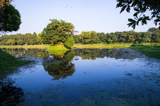 Natural landscape view Reflection of trees in the lake water against blue sky