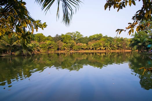 Natural landscape view Reflection of trees in the lake water against blue sky