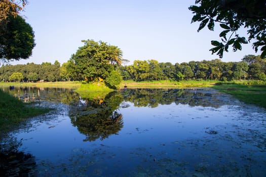 Natural landscape view Reflection of trees in the lake water against blue sky