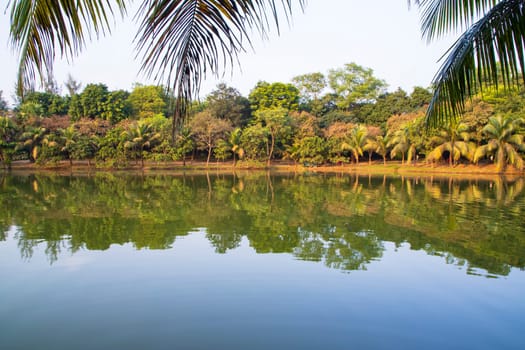 Natural landscape view Reflection of trees in the lake water against blue sky