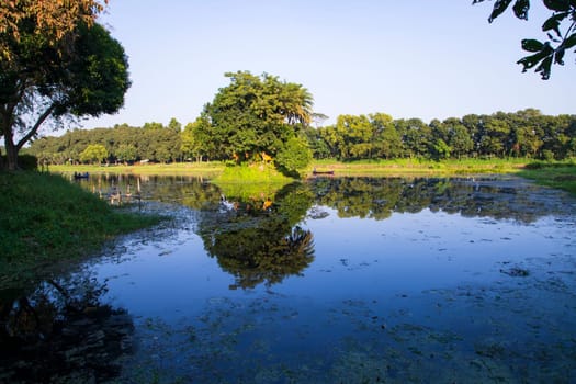 Natural landscape view Reflection of trees in the lake water against blue sky