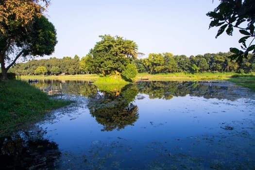 Natural landscape view Reflection of trees in the lake water against blue sky