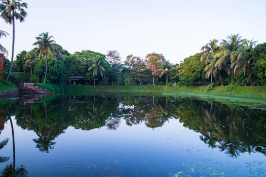 Natural landscape view Reflection of trees in the lake water against blue sky