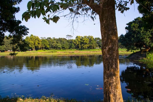 Natural landscape view Reflection of trees in the lake water against blue sky