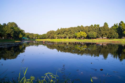 Natural landscape view Reflection of trees in the lake water against blue sky