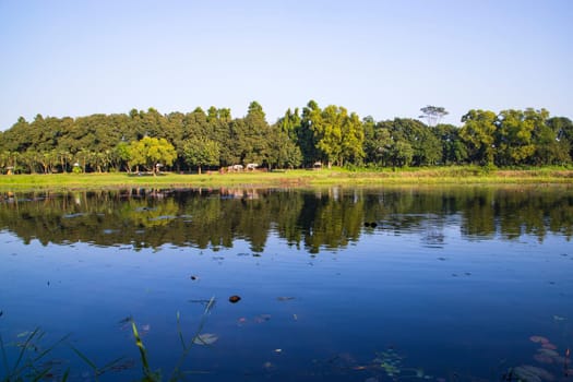 Natural landscape view Reflection of trees in the lake water against blue sky