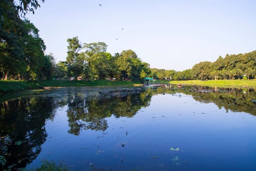 Natural landscape view Reflection of trees in the lake water against blue sky