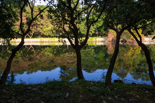Natural landscape view Reflection of trees in the lake water against blue sky