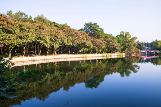 Natural landscape view Reflection of trees in the lake water against blue sky