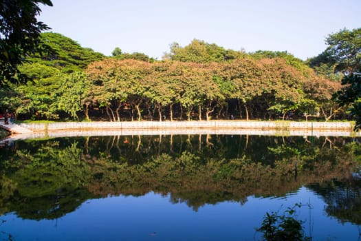 Natural landscape view Reflection of trees in the lake water against blue sky
