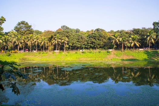 Natural landscape view Reflection of trees in the lake water against blue sky