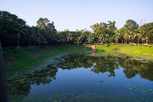 Natural landscape view Reflection of trees in the lake water against blue sky