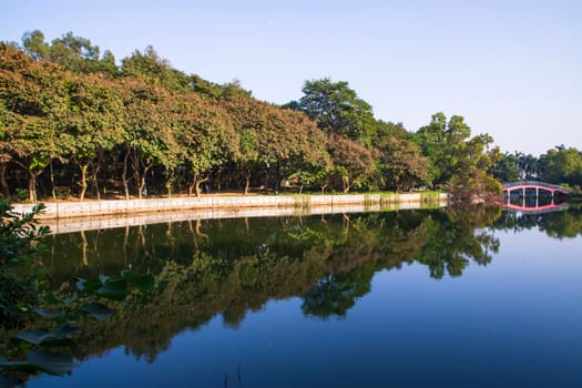Natural landscape view Reflection of trees in the lake water against blue sky
