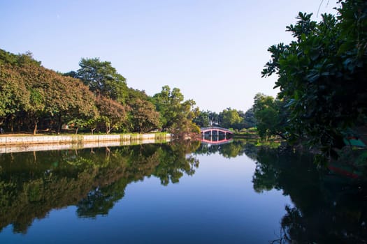 Natural landscape view Reflection of trees in the lake water against blue sky