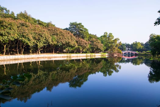 Natural landscape view Reflection of trees in the lake water against blue sky