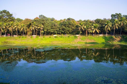 Natural landscape view Reflection of trees in the lake water against blue sky