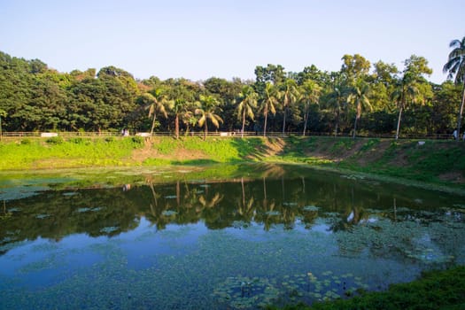 Natural landscape view Reflection of trees in the lake water against blue sky