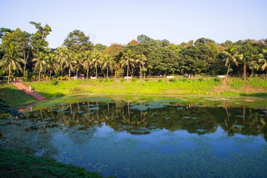 Natural landscape view Reflection of trees in the lake water against blue sky
