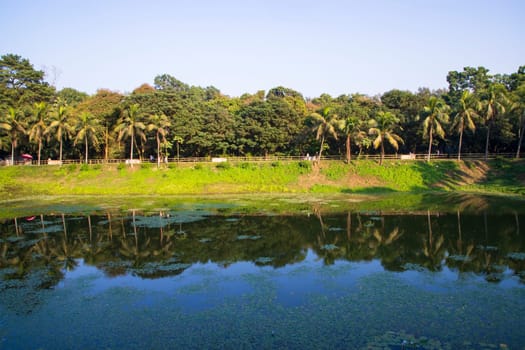 Natural landscape view Reflection of trees in the lake water against blue sky