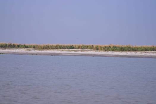 Beautiful landscape view of Padma river or Island in Bangladesh