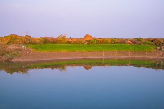 Canal with green grass and vegetation reflected in the water nearby Padma river in Bangladesh