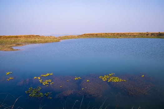 Crystal clear blue water lake landscape view nearby Padma river in Bangladesh