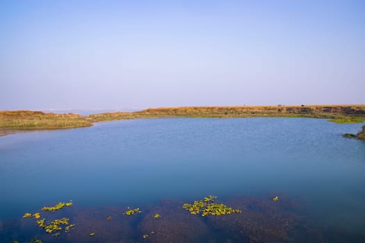 Crystal clear blue water lake landscape view nearby Padma river in Bangladesh