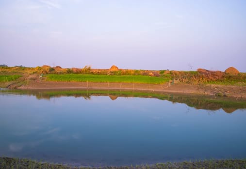 Canal with green grass and vegetation reflected in the water nearby Padma river in Bangladesh