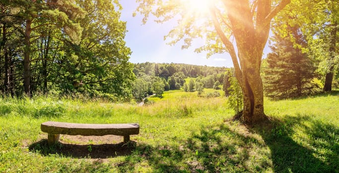 Romantic view of the loneliness stone bench in the bank of the creek in natural park. Beautiful background.