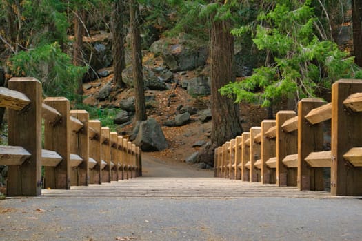Wooden bridge connecting shores in nature and national park. Low angle view.