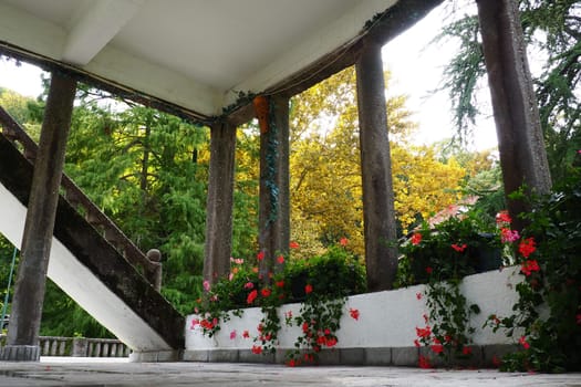 Banja Koviljaca, Serbia, Guchevo, Loznica, September 30 2022 Rehabilitation center with sulfur, iron mineral waters. Observation deck from the inside, pillars. Ivy pelargonium in vases and flower beds