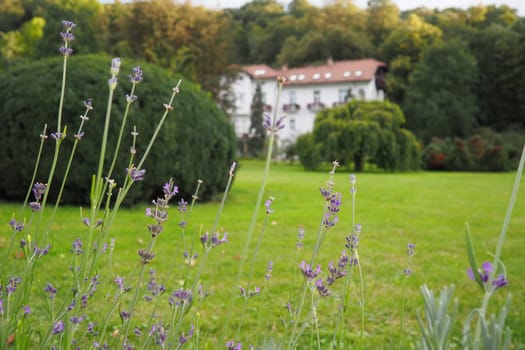 Banja Koviljaca, Serbia, Guchevo, Loznica, September 30, 2022 A medical building, the former royal villa. Green lawn in the park with flowers and bushes. Landscaping and decoration of the park area