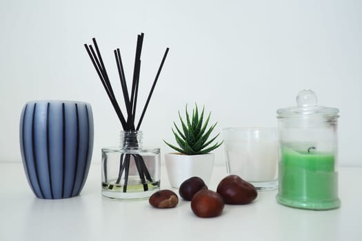 Incense sticks in a glass vessel with essential oil. White background. Sansevier or aloe plant in a pot. Wax candle in a stylish glass flask with a lid. Chestnut fruit. Gray striped candle or vase