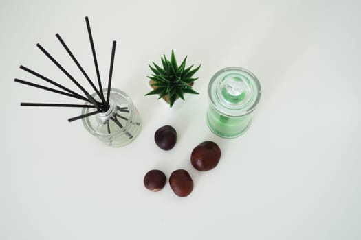 Incense sticks in a glass cubic vessel with essential oils. Interior decor. White background. Sansevier or aloe plant in a pot. Wax candle in a stylish glass flask with a lid. Chestnut fruit.