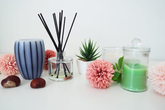 Incense sticks in a glass vessel with essential oil. Pink flowers. Sansevier or aloe plant in a pot. Wax candle in a stylish glass flask with a lid. Chestnut fruit. Gray striped vase