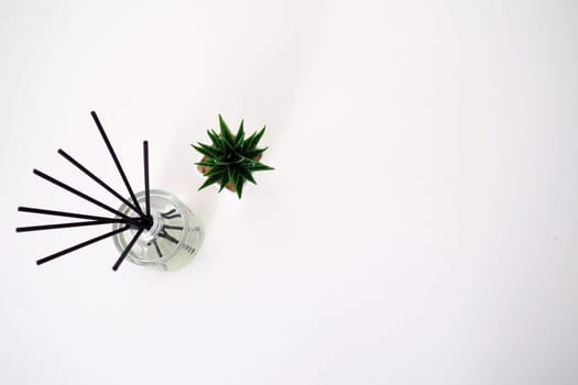 Incense sticks are dipped into a glass cubic vessel with essential oils. Interior decor. White background. Sansevier or aloe plant in a pot. View from above. Flat lay. Copy space.
