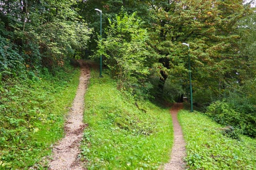 Banja Koviljaca, Loznica, Serbia. Mount Guchevo, park and forest, forest terraces. Withered leaves in September. Paths and paths for hiking. Calm ecological rest for recovery. Mixed European forest.