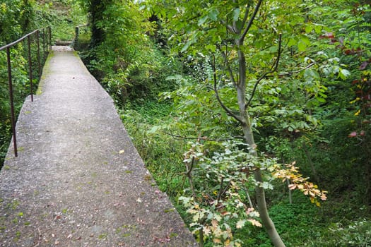 Banja Koviljacha, Serbia, Loznica, Mount Guchevo. An old narrow concrete bridge across a mountain river with a metal fence. Thickets of bushes, ivy, vines, trees around the bridge. Walk in nature