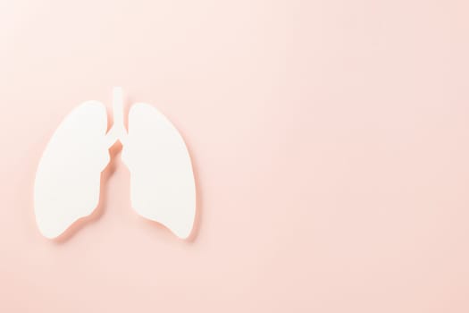 World tuberculosis day. Top view Lungs paper decorative symbol on pink background, copy space, concept of world TB day, no tobacco, Medical and healthcare, lung cancer awareness, 24 March