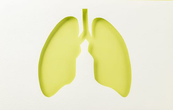 World tuberculosis day. Lungs paper cutting symbol on white background, copy space, concept of world TB day, banner background, respiratory diseases, lung cancer awareness, Paper Art, 24 March