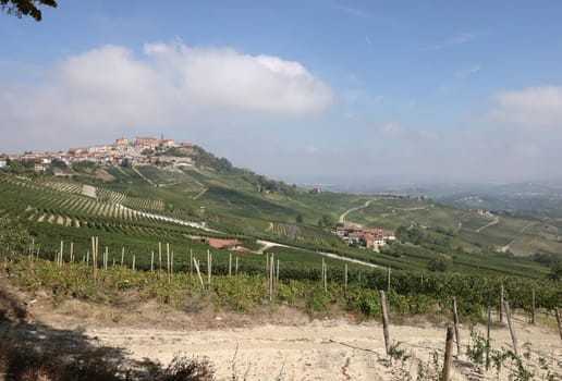 Langhe vineyards near La Morra, Unesco Site, Piedmont, Italy