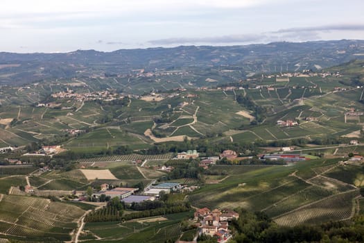 Langhe vineyards near Barolo and La Morra, Unesco Site, Piedmont, Italy