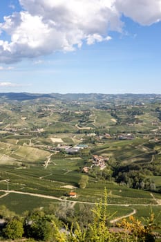 Langhe vineyards near Barolo and La Morra, Unesco Site, Piedmont, Italy