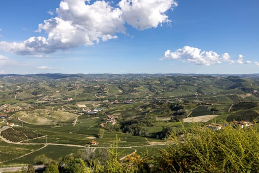 Langhe vineyards near Barolo and La Morra, Unesco Site, Piedmont, Italy