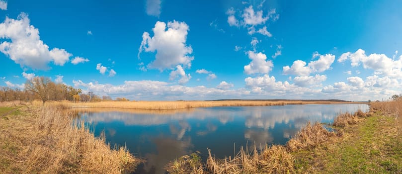 Yellow brushwood and reeds near the blue water of the lake under the blue sky with clouds, the Guiva river in Andrushivka, Ukraine