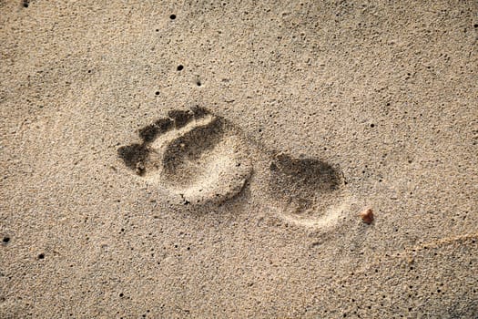 The footprint of a person in the wet sand on the beach.
